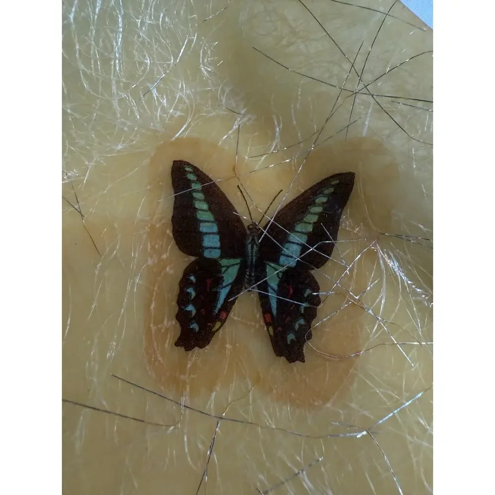 Vintage Fiberglass Resin Butterfly Tray Amber MCM Hollywood Regency